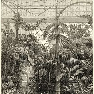 Interior of the Great Palm House, Kew Gardens, 1852