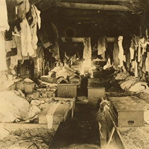 Interior of a shack occupied by berry pickers. Anne Arundel