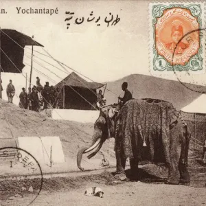 Iran, Teheran - Nayrouz (The New Year Festival) Print, 1913 Iran, Teheran - Nayrouz (The New Year Festival) Print, 1913