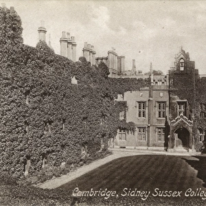 The ivy-clad walls of Sidney Sussex College, Cambridge