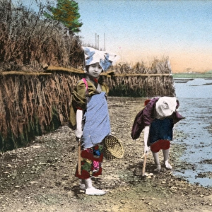 Japan, Two children digging for shellfish, low tide riverbed