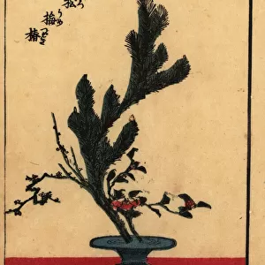 Japanese flower arrangement with pine, plum and carnation