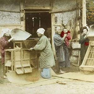Japanese women sorting grain