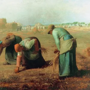 Framed Print of Jean-Francois Millet Print - The Gleaners (1856