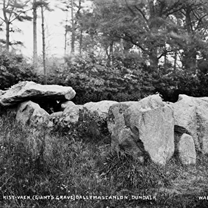 Kist-Vaen, (Giants Grave) Ballymascanlon, Dundalk