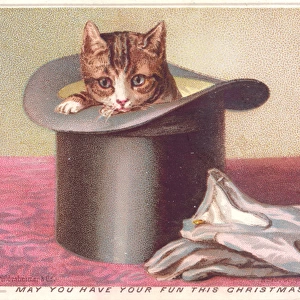 Kitten in a top hat on a Christmas card