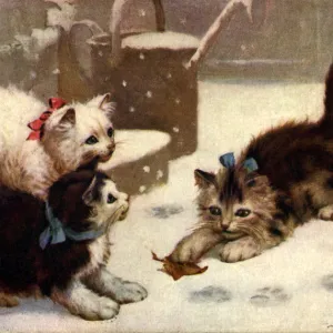 Kittens Playing with Leaf in the Snow Date: 1910