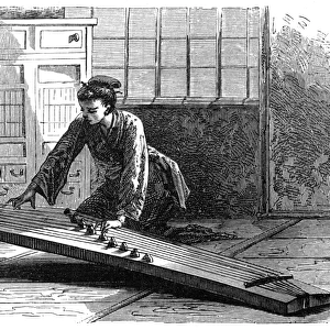 The koto, a Japanese musical instrument