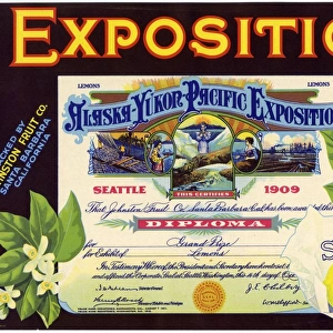 Label design, Exposition Sunkist Lemons