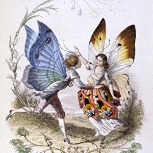 Lepidoptera Dance