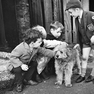 Little boys with dog, Balham, SW London