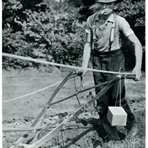 Man ploughing with gas mask, September 1939