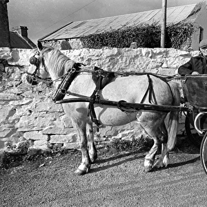 Man in pony and trap beneath a road sign on Innishmore