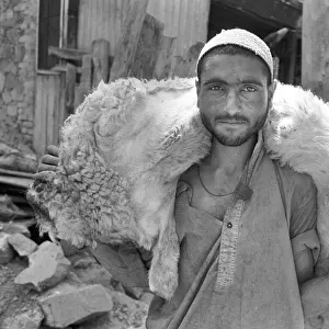 Man with sheep carcass, Kashmir