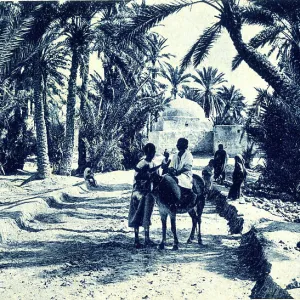 Libya Collection: Misrata