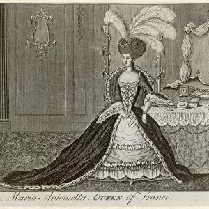 Marie Antoinette Boudoir