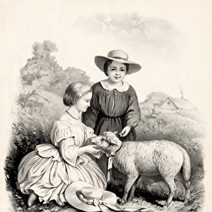 Marys Little Lamb