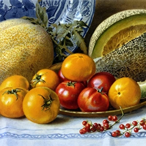 Melons and Tomatoes