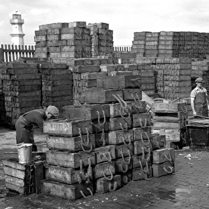 Men with crates of fish on quayside