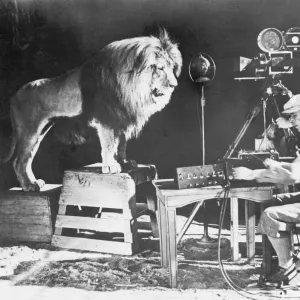 MGM LION. Recording Leo the Lions famous roar for MGM Mgm Lion. Recording Leo The Lions Famous Roar For Mgm