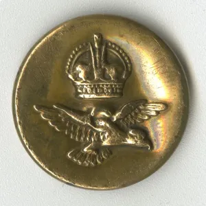 20th Century Military Aviation Button Print