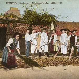 Minho, Portugal - Corn threshing