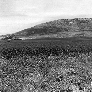 Mount Tabor, Lower Galilee, Israel