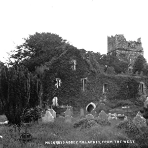 Muckross Abbey, Killarney, from the West