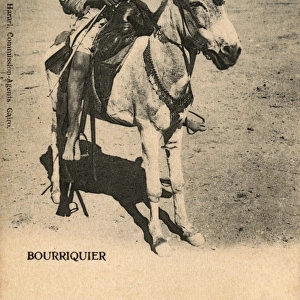 Mule Rider - Cairo, Egypt