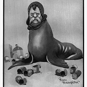 Natural History of the War by Bruce Bairnsfather