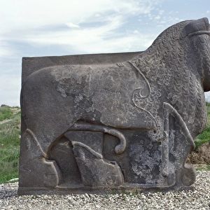 Neo-Hittite. Colossal basalt lion found in 1955. Ain Dara Te