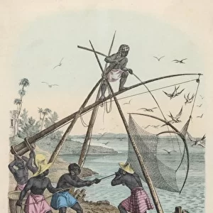 Net Fishing / Africa