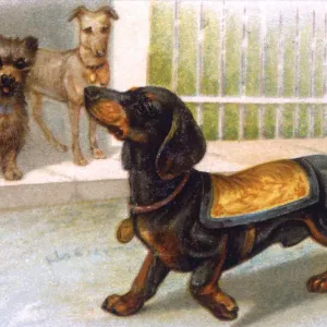 Prints of Dog : Dogs