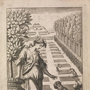 New Methods of Plants 1682