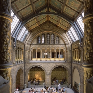 North Hall of the Natural History Museum, London