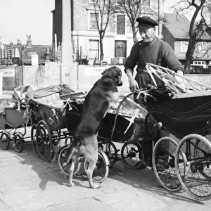 Old man with dog and pram, Balham, SW London