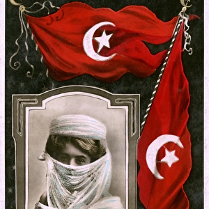 Oriental Beauty - Turkish Ottoman Flags