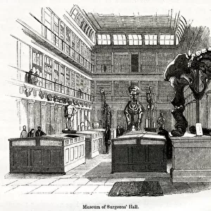 Osteological room in College of Surgeons 1880s
