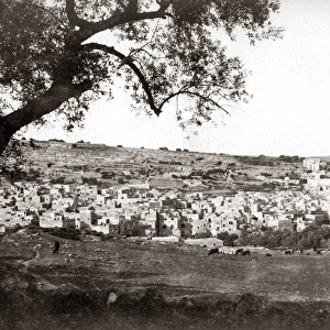 Overlooking Palestine (Israel) circa 1890