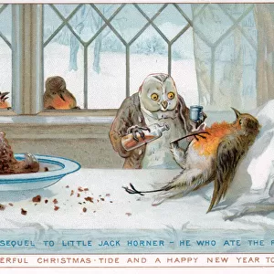 Owl doctor and robin patient on a Christmas card