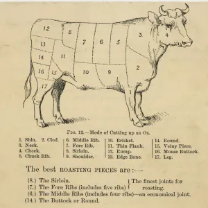 Ox Cuts Diagram