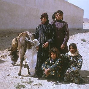 Palmyra, Syria - A Group of Bedouin Women and a donkey