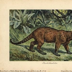 Pantolambda, an extinct genus of Paleocene pantodont mammal