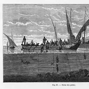 Pearl Fishing / 1870