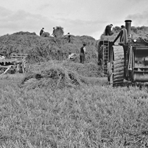 People harvesting in a field