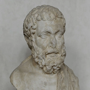 Philosopher. Bust. Marble. Samaria. Roman period, 1st centur