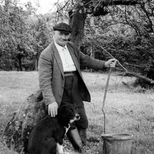 Old Farmer with Dog in Orchard Print, circa 1975 Old Farmer with Dog in Orchard Print, circa 1975