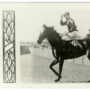 Piastoon, Australian race horse