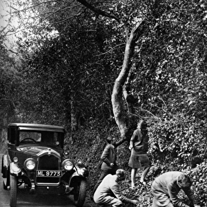 Picking berries by the roadside, 1927
