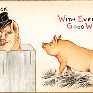 Two pigs on a Good Luck card